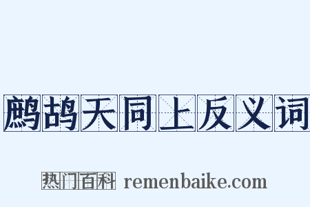 鹧鸪天同上反义词是什么意思的图片